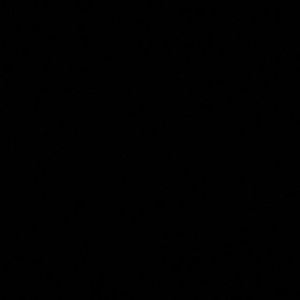 Meet your Posher, Shanell